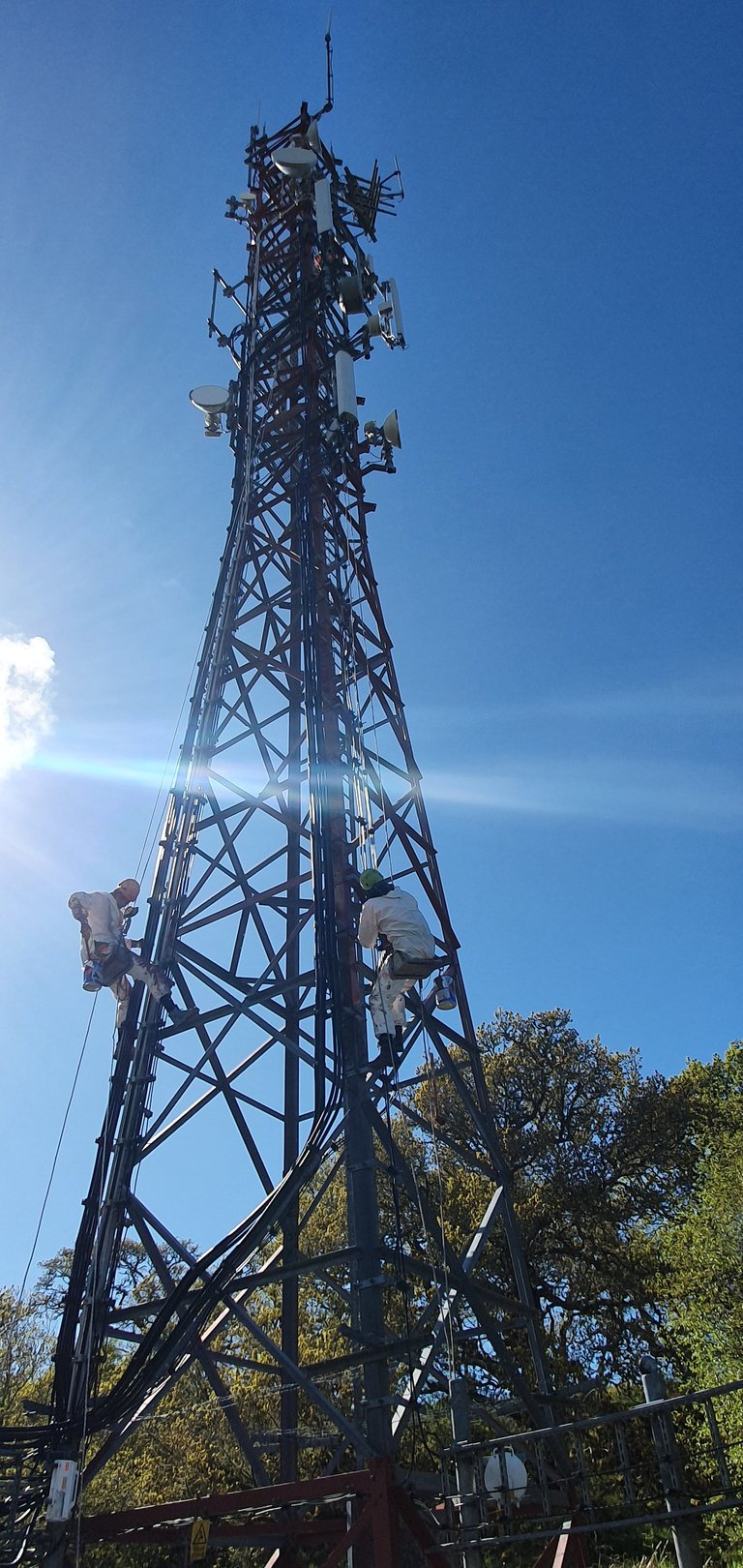 Tall telecommunications tower with multiple antennas against a blue sky, with workers climbing and trees visible at the base